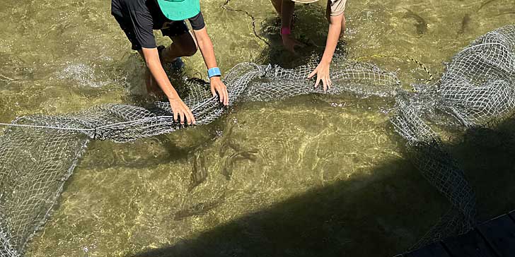 べるが ニジマス掴み取り２