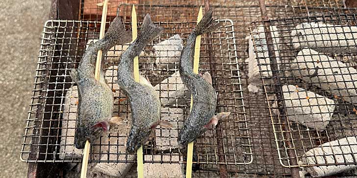 ニジマスの塩焼き