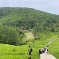 親子登山デビューにおすすめの「入笠山」へ親子で行ってきました