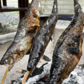 子供と一緒に渓流釣り＆BBQ「奥多摩フィッシングセンター」