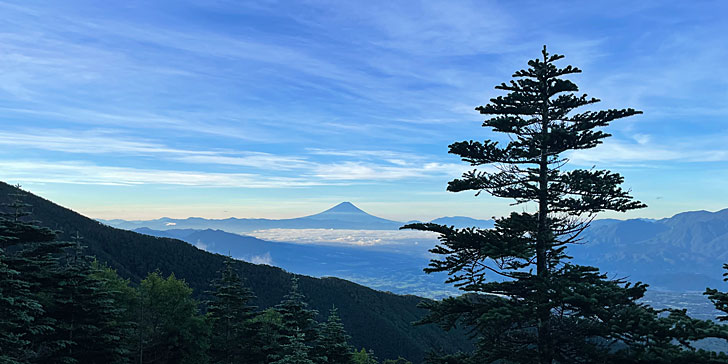 富士山の眺め